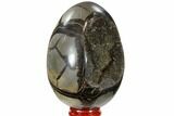 Septarian Dragon Egg Geode - Black Crystals #118709-1